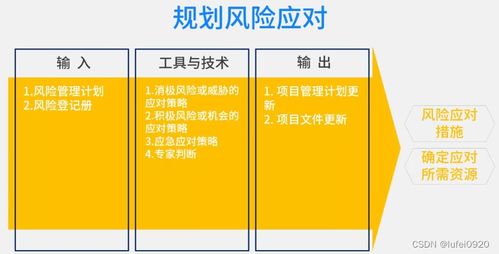 信息系统项目管理师视角下的项目风险管理——以机井管理信息系统为例
